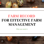 Agriculture in kenya