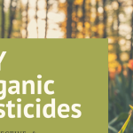 Agriculture in kenya