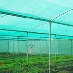 Agriculture in kenya