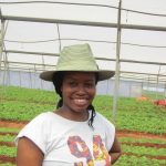 Agriculture in kenya