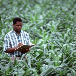 Agriculture in kenya