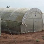 Agriculture in kenya