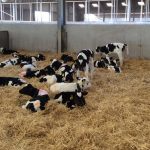 Agriculture in kenya