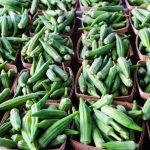 Agriculture in kenya