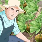 Agriculture in kenya