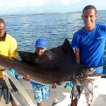 Agriculture in kenya