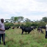 Agriculture in kenya