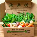 Agriculture in kenya