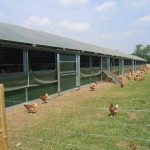 Agriculture in kenya