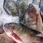 Agriculture in kenya