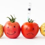 Agriculture in kenya