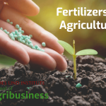 Agriculture in kenya